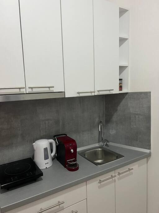 Sany Center Apartment Belgrade Extérieur photo